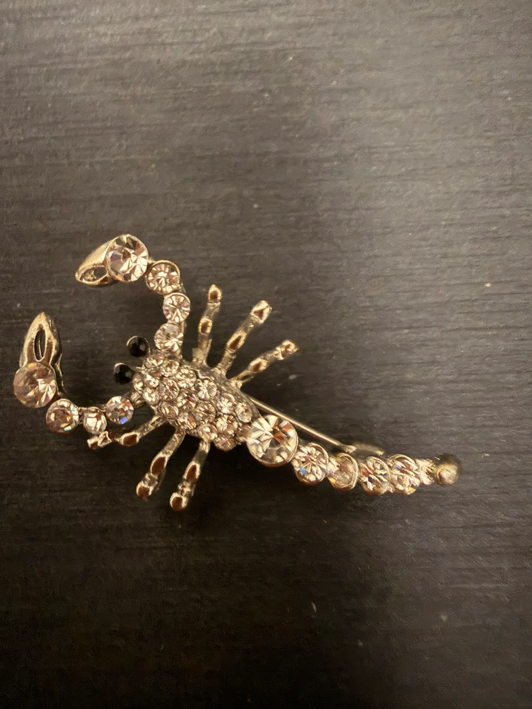 Scorpion Brooch