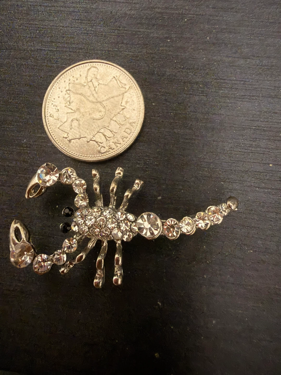 Scorpion Brooch - photo 2