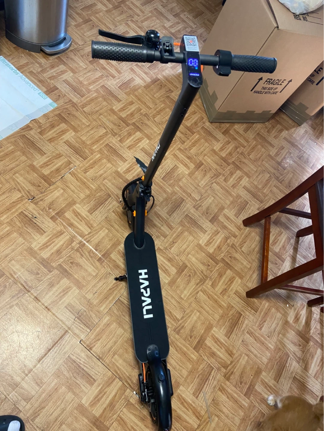 Electric Scooter