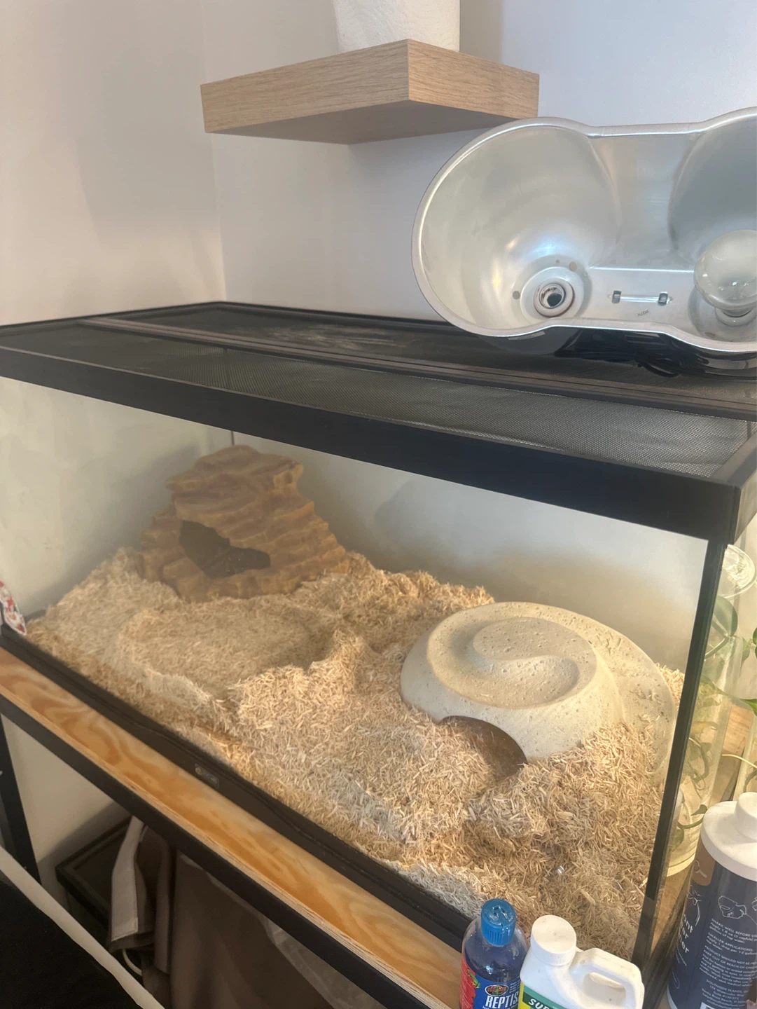 Reptile Terrarium and accessories for sale