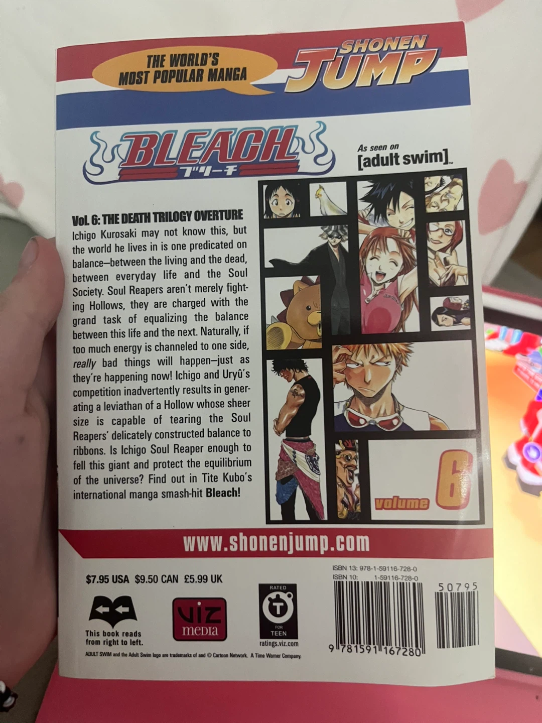 Bleach Manga Volume 6: The Death Trilogy Overture - photo 2