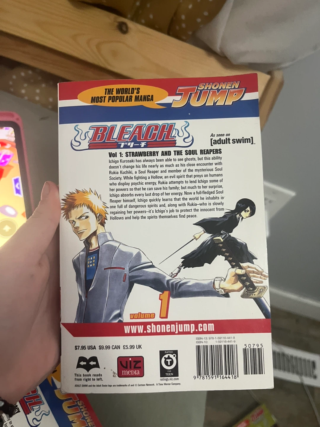 Bleach Manga Volume 1: Strawberry and the Soul Reapers - photo 2