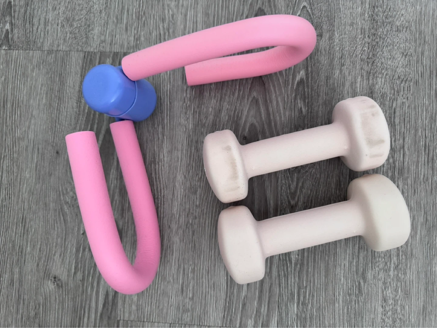 Gaiam 5 lb Dumbbells and Pink Fitness Ring