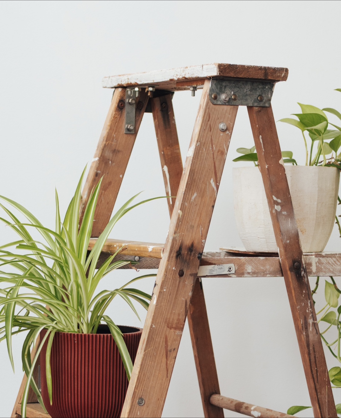 Vintage Wooden Painter’s Ladder / Plant Stand - photo 2