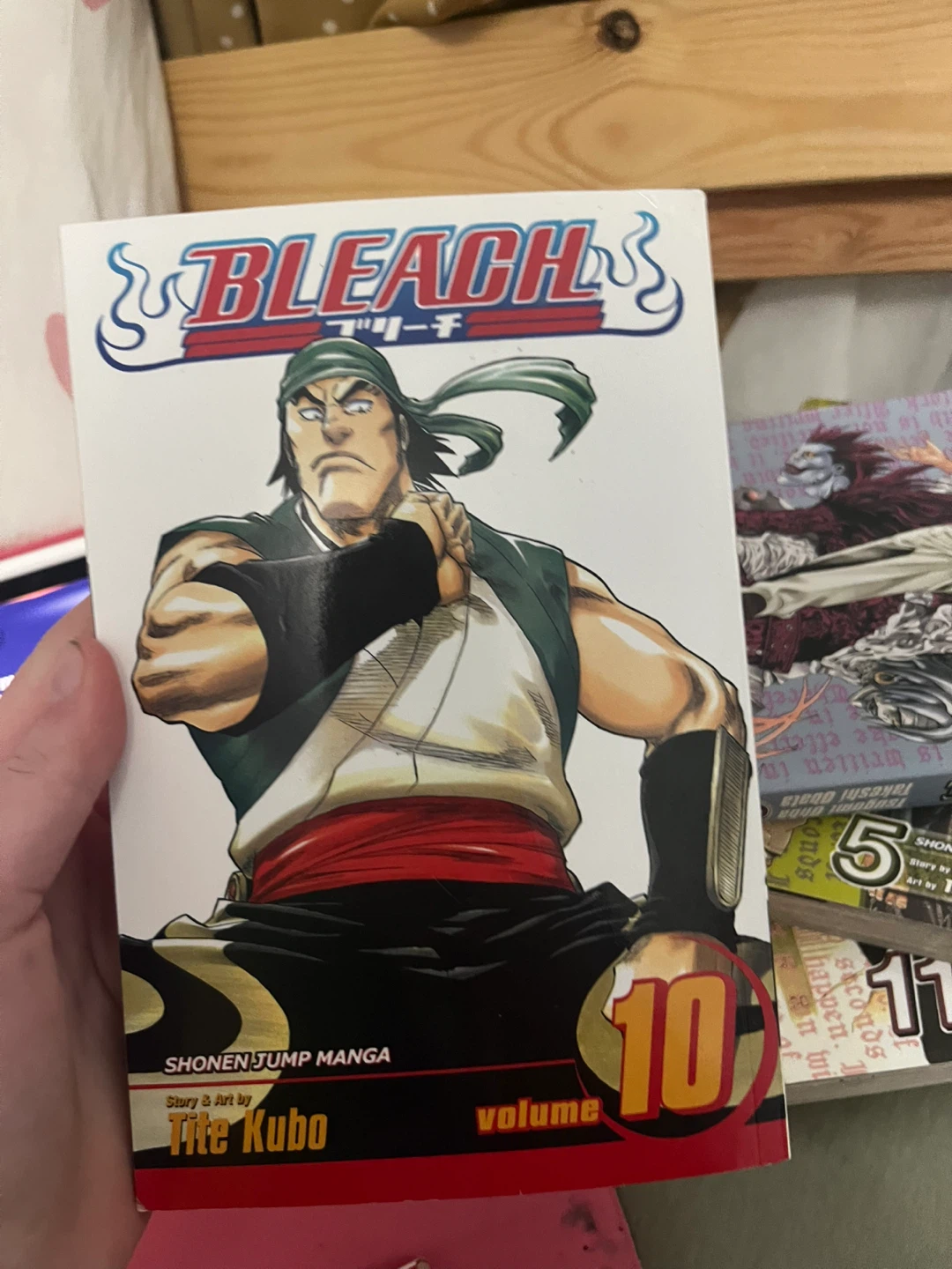 Bleach Vol. 10: Tattoo on the Sky Manga