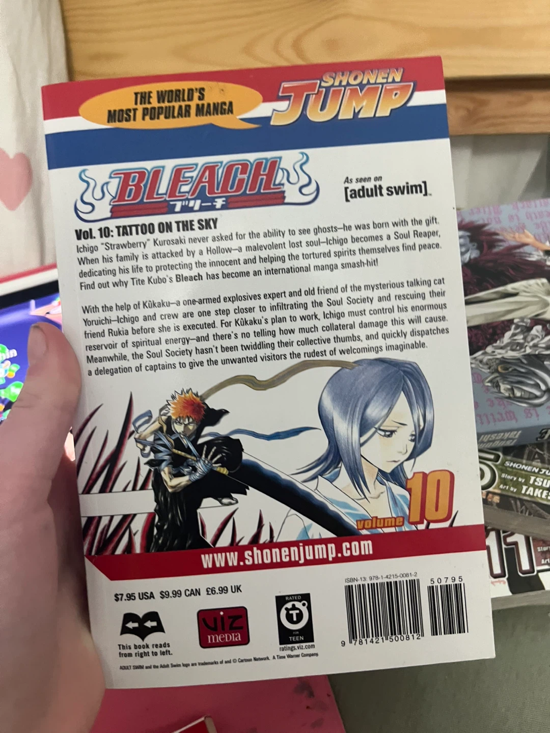 Bleach Vol. 10: Tattoo on the Sky Manga - photo 2