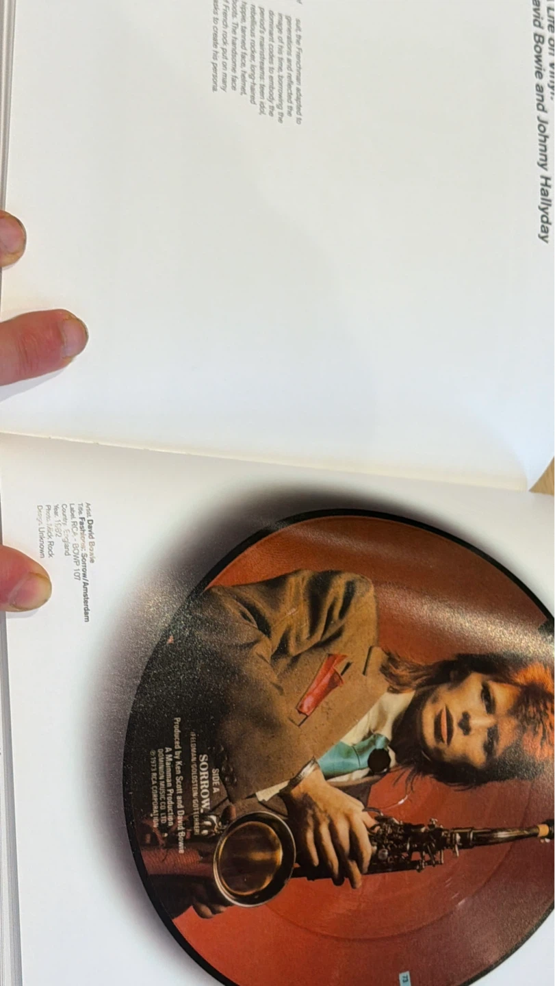 Total Records: Photography and the Art of the Album Cover Book - photo 4
