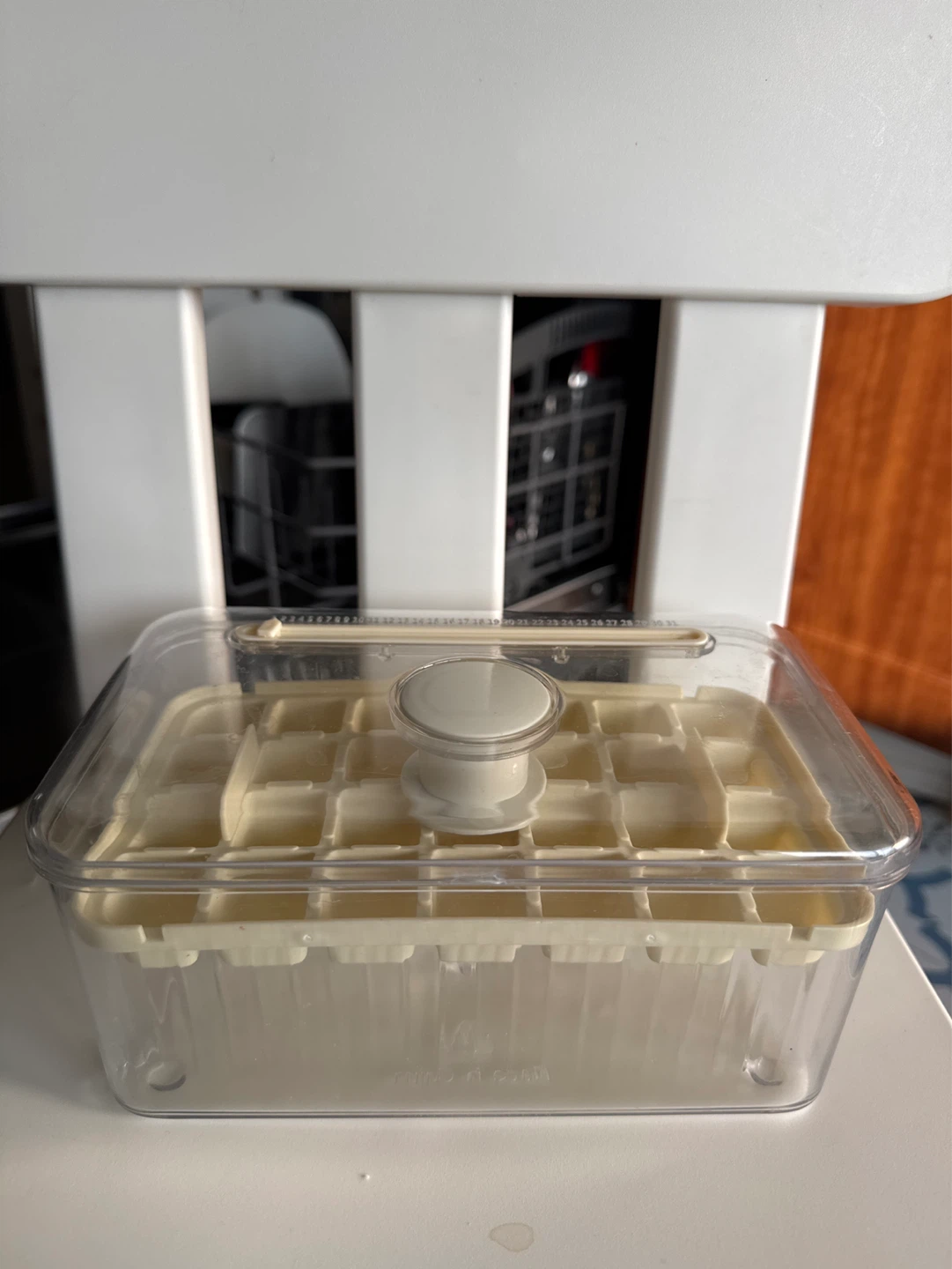 Square Ice Cube Tray with Lid