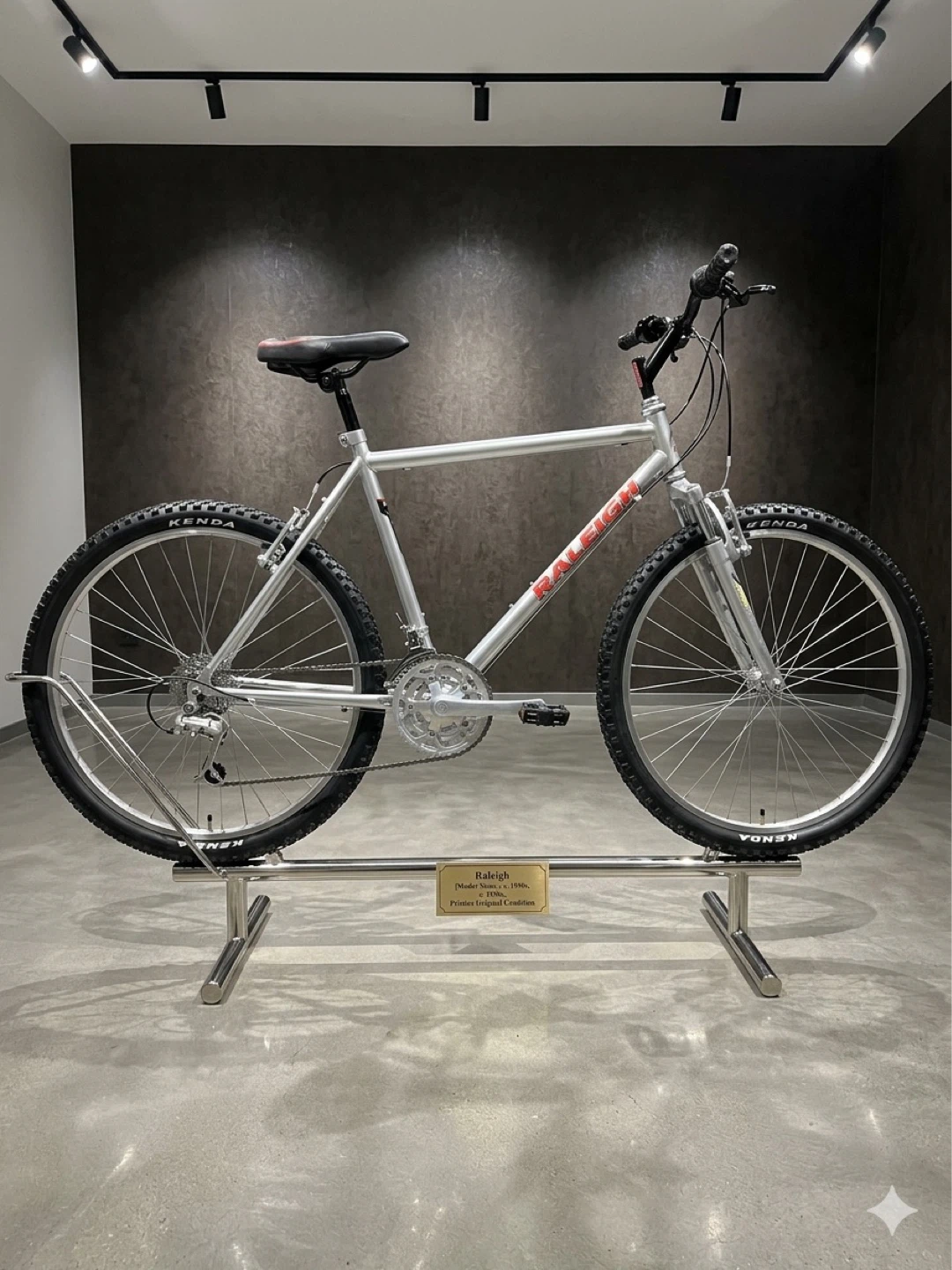 Raleigh Mountain Bike
