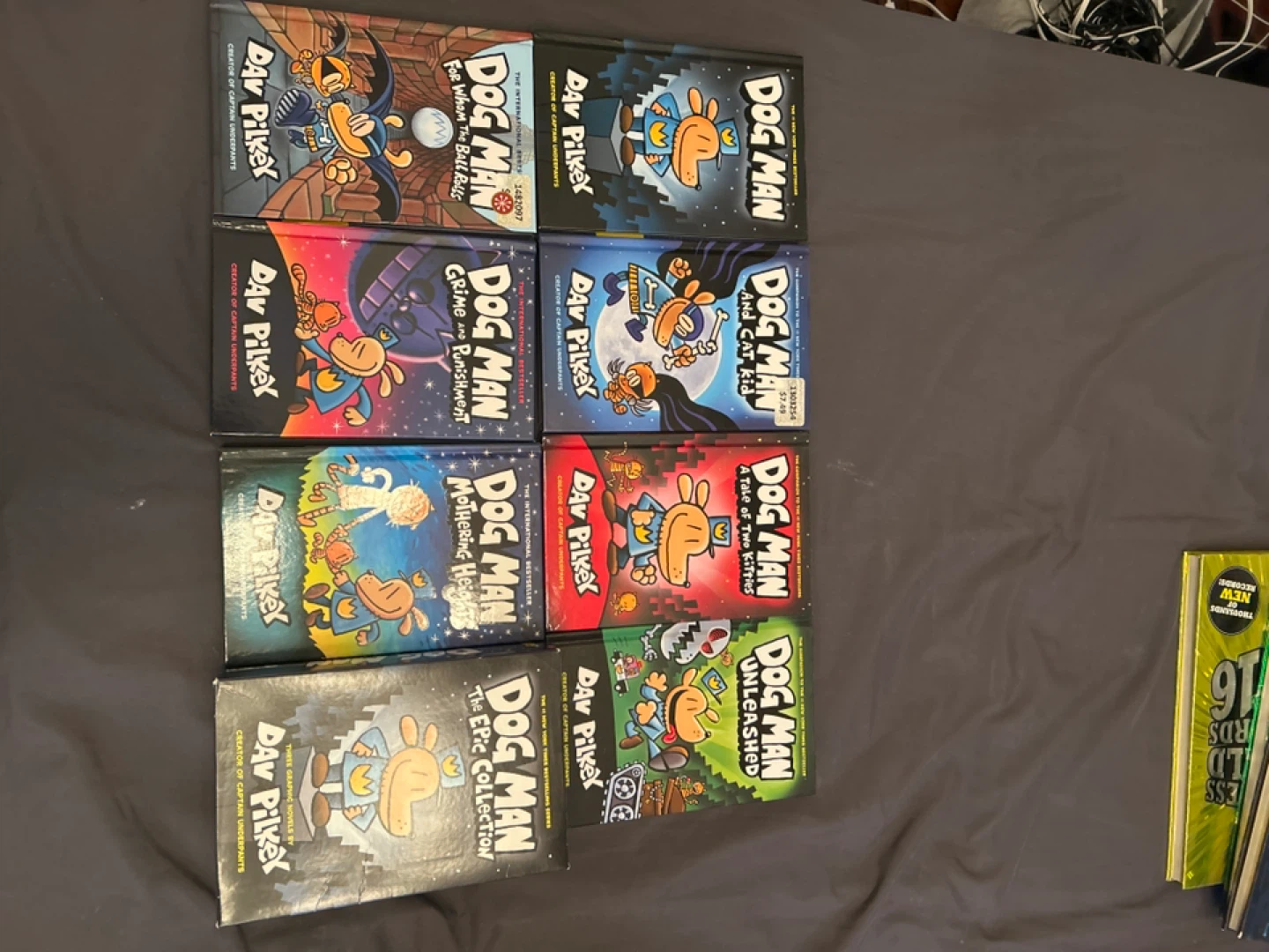 Collection of Dav Pilkey Books