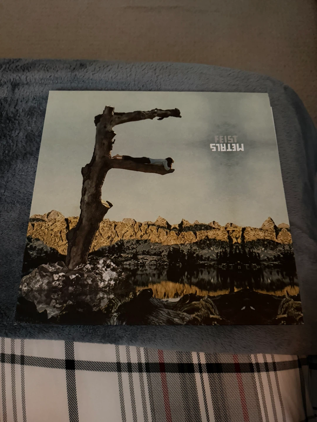 Feist Metals Vinyl Record
