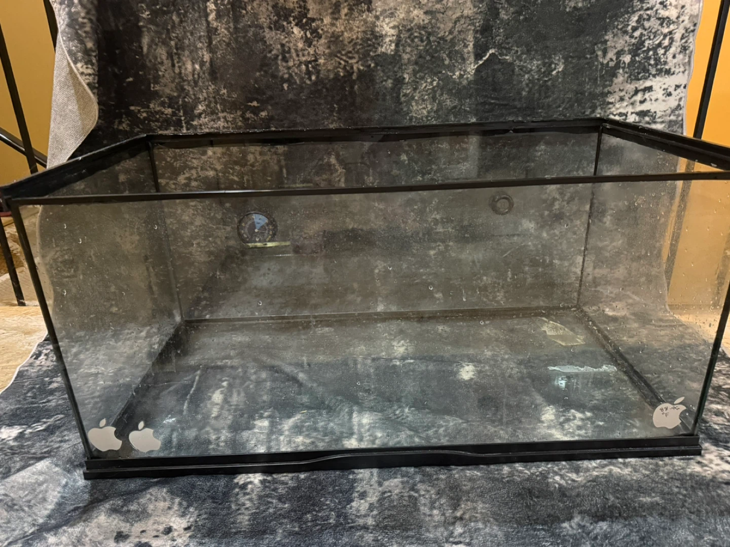 Glass Terrarium Tank - photo 2