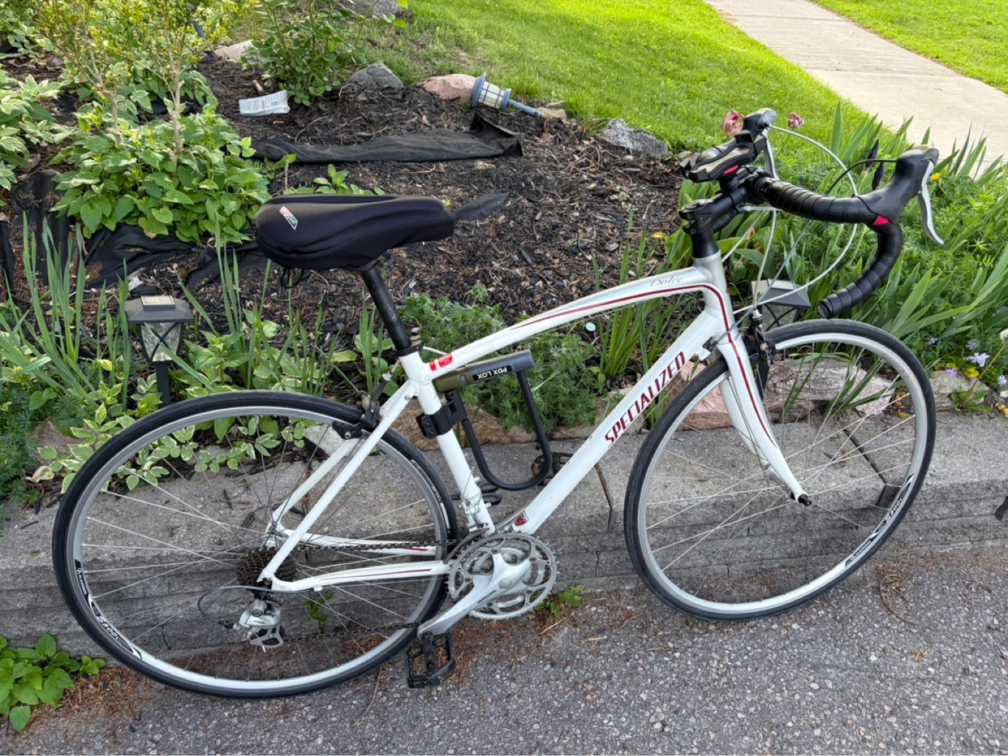 2010 Specialized Dolce Triple