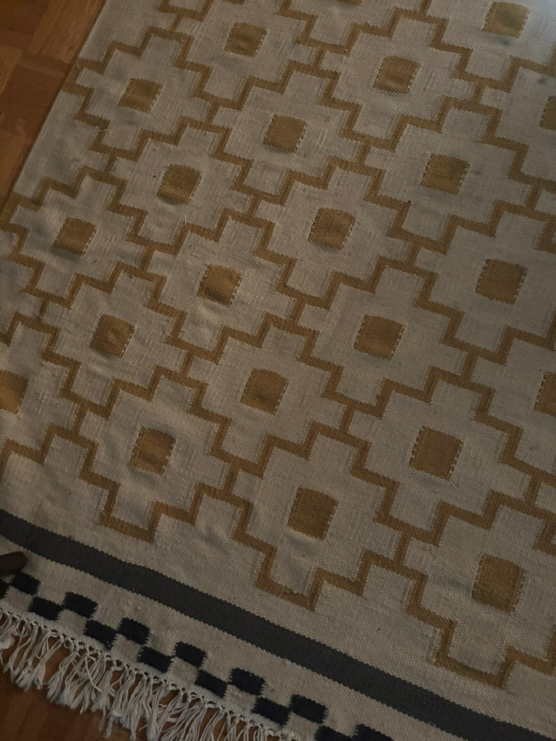 Geometric Pattern Area Rug - Cream and Gold