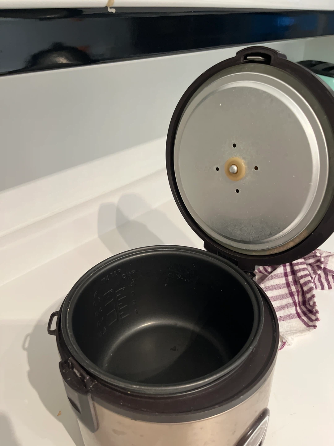 Electric Rice Cooker - photo 2