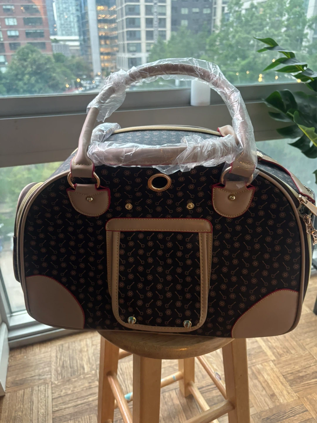 Large Pet Carrier Bag