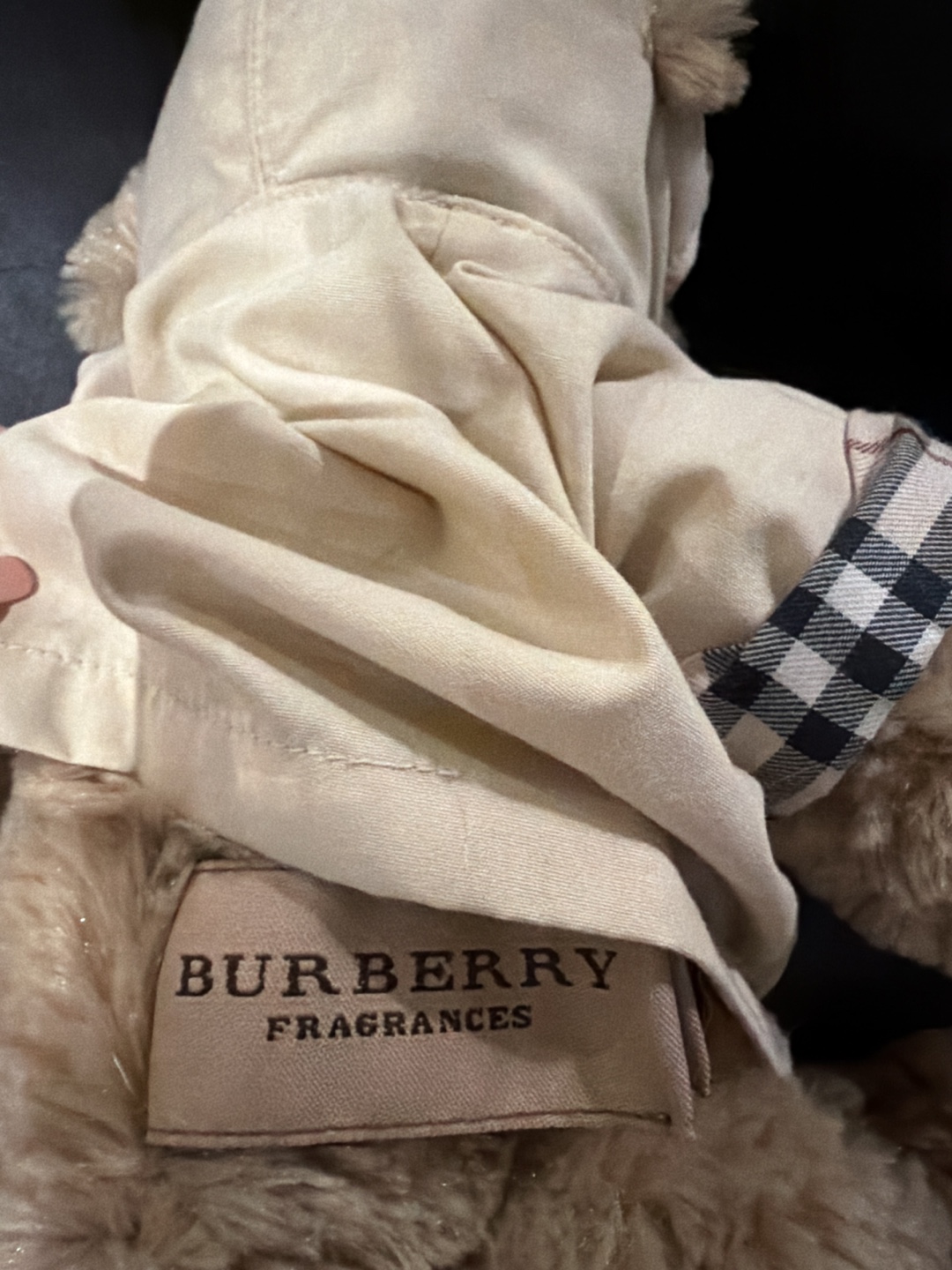 Burberry Fragrances 2007 Teddy Bear with Coat 13” Plush - photo 4