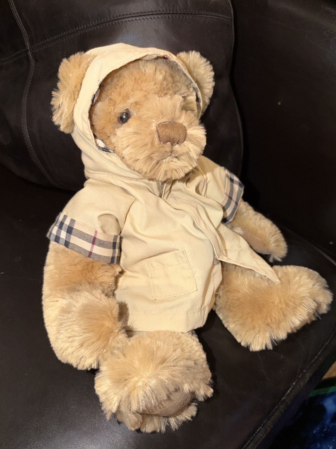 Burberry Fragrances 2007 Teddy Bear with Coat 13” Plush - photo 3