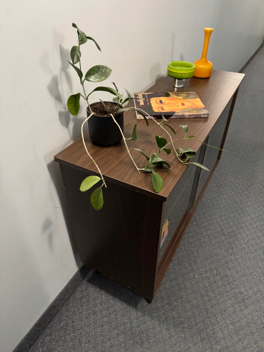 Mid-Century Modern Media Console with Sliding Glass Doors - photo 3