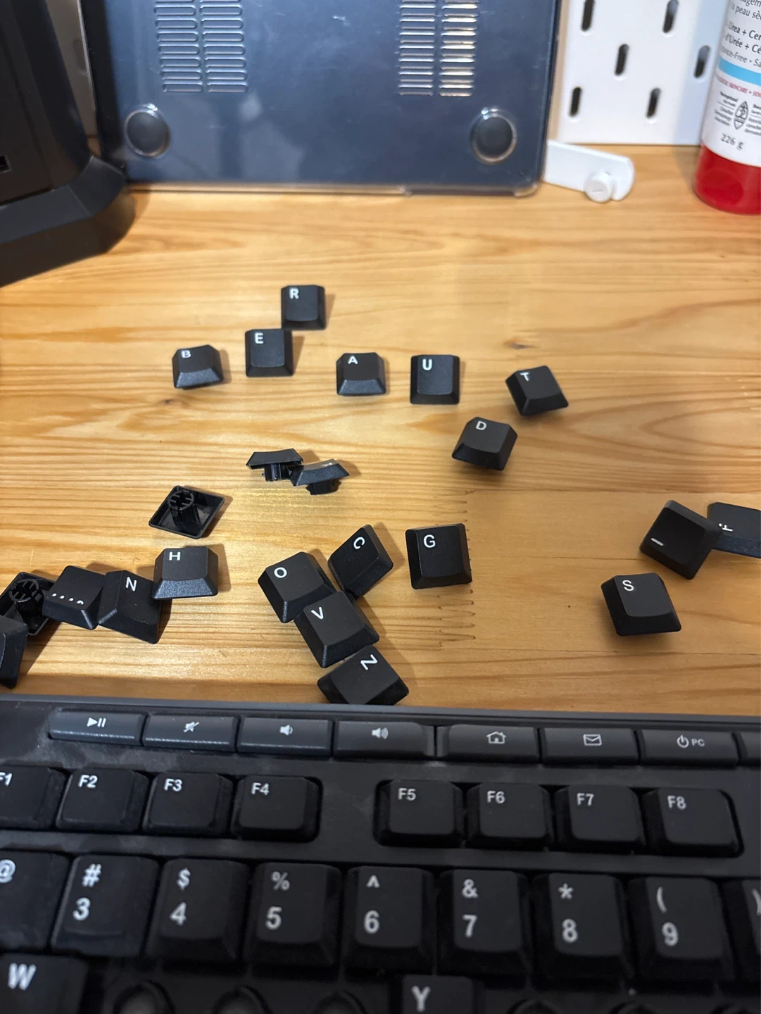 ISO: free keyboards for upcycling