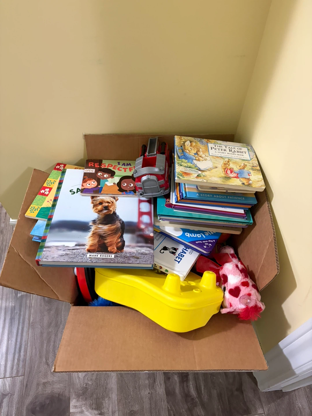Assorted Children's Books and Toys Box