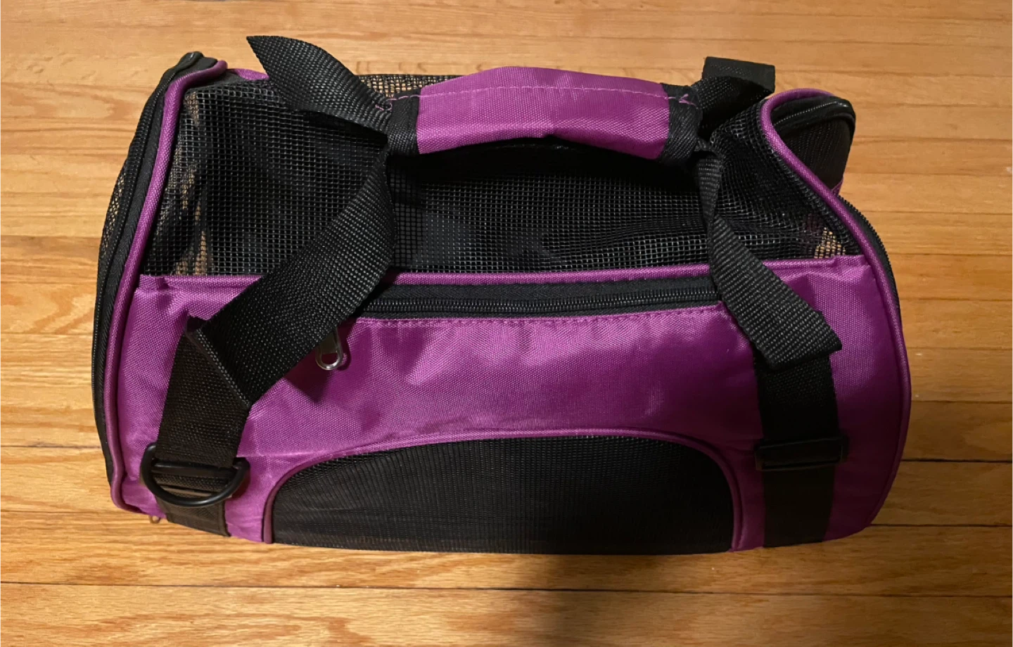 Pet Carrier Bag
