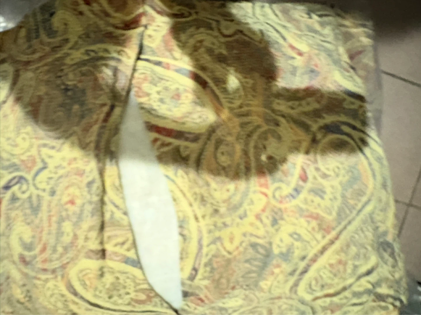 Paisley Pattern Throw Blanket - photo 3