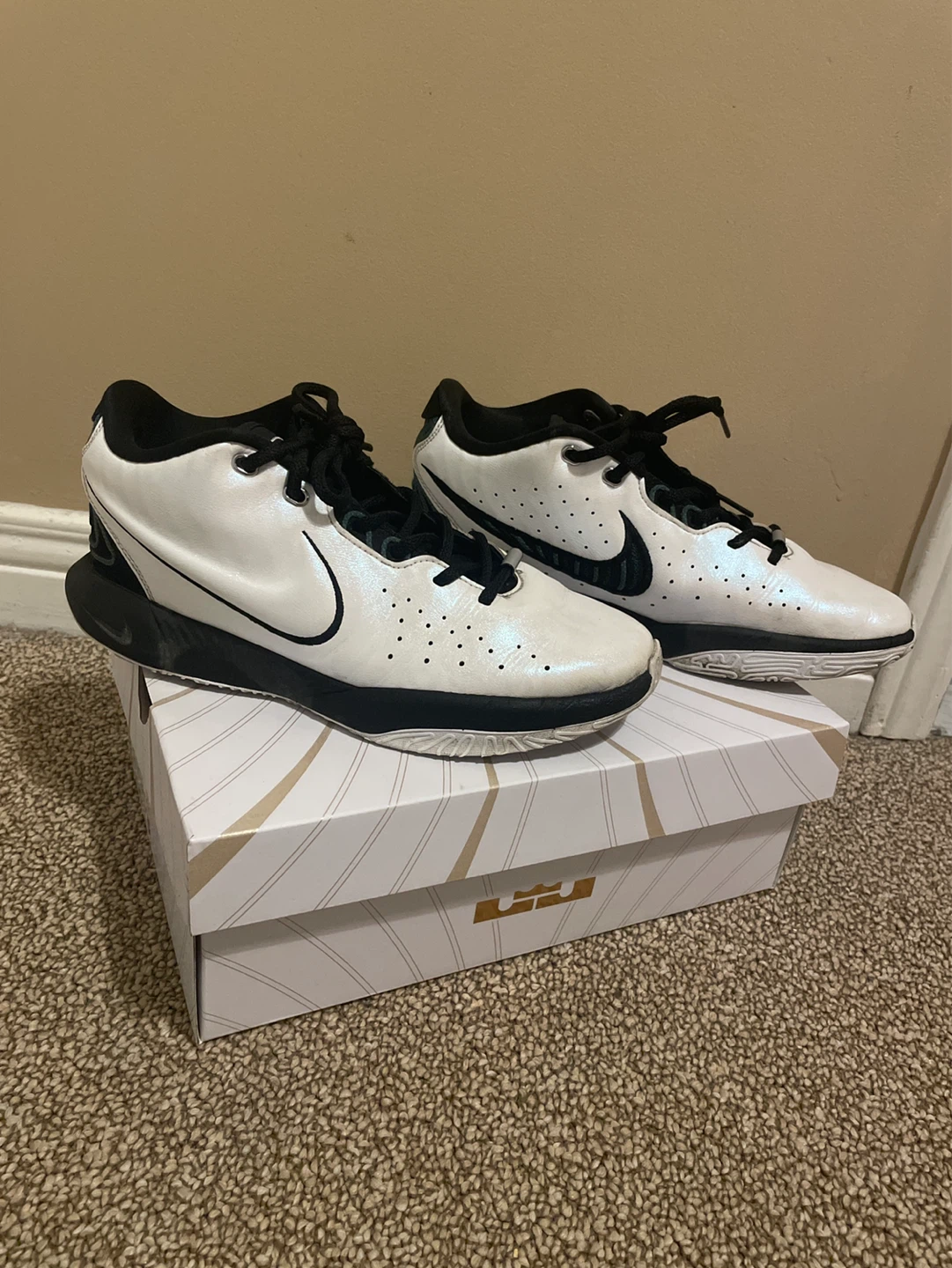Nike Lebron XX1 Basketball shoes - Size 7