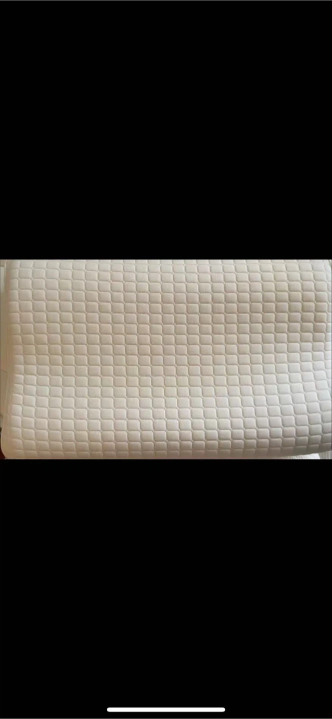 Free new cover with sale of White Quilted Pillow