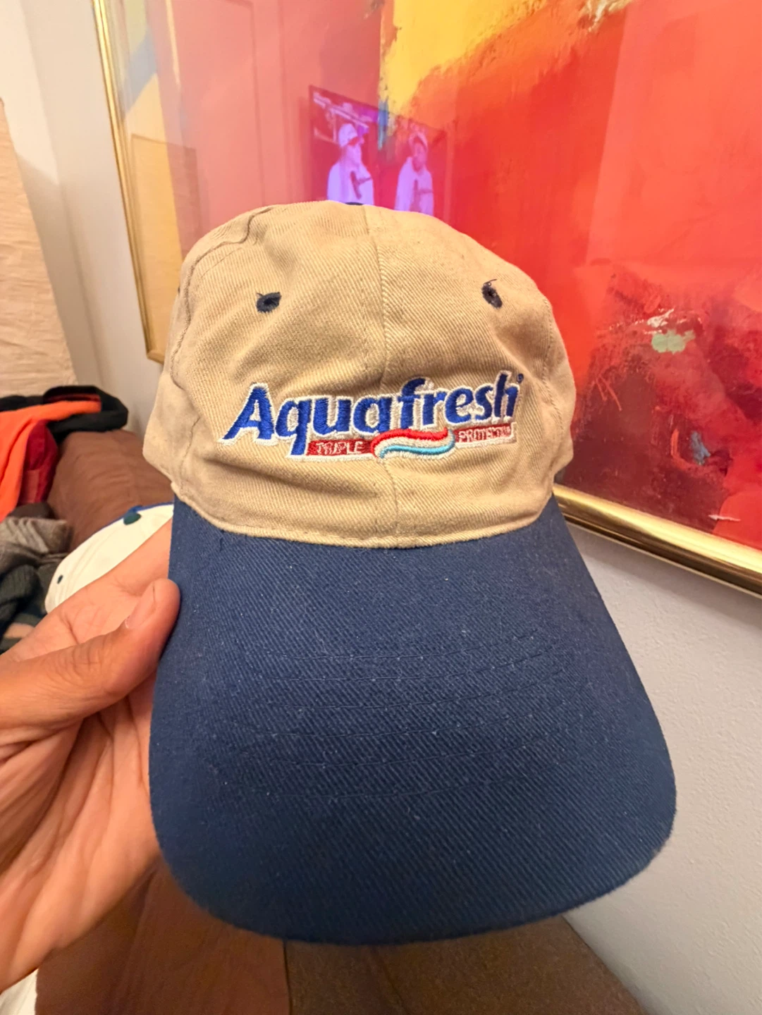 Lote 10 Variety of Graphic Hats - photo 5