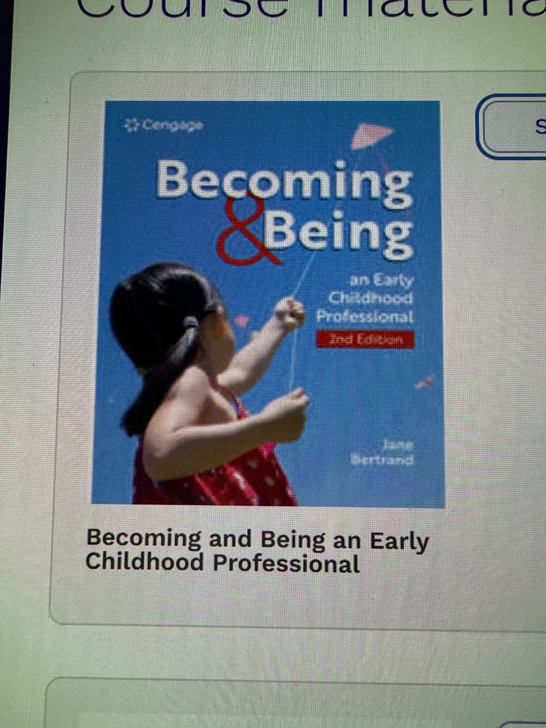 Becoming and Being an Early Childhood Professional 2nd Edition