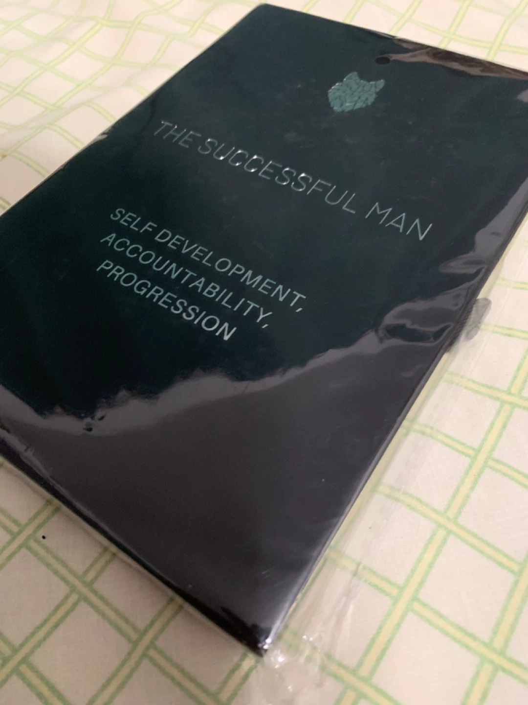 The Successful Man Self Development, Accountability, Progression - photo 3