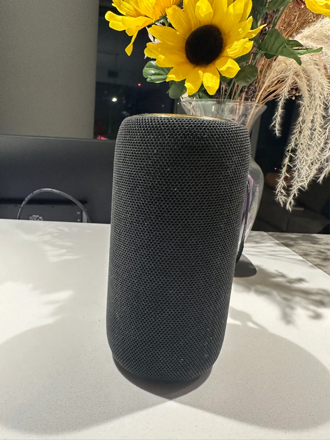 Monster S310 Bluetooth Portable Speaker