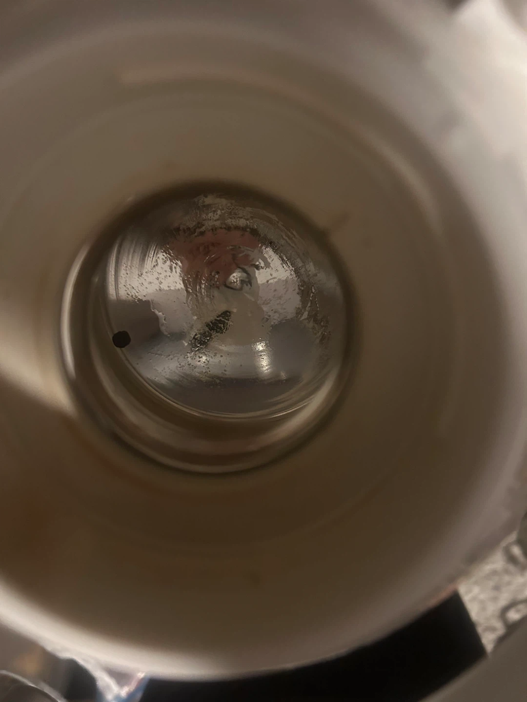 Tiger Thermos Carafe - photo 3