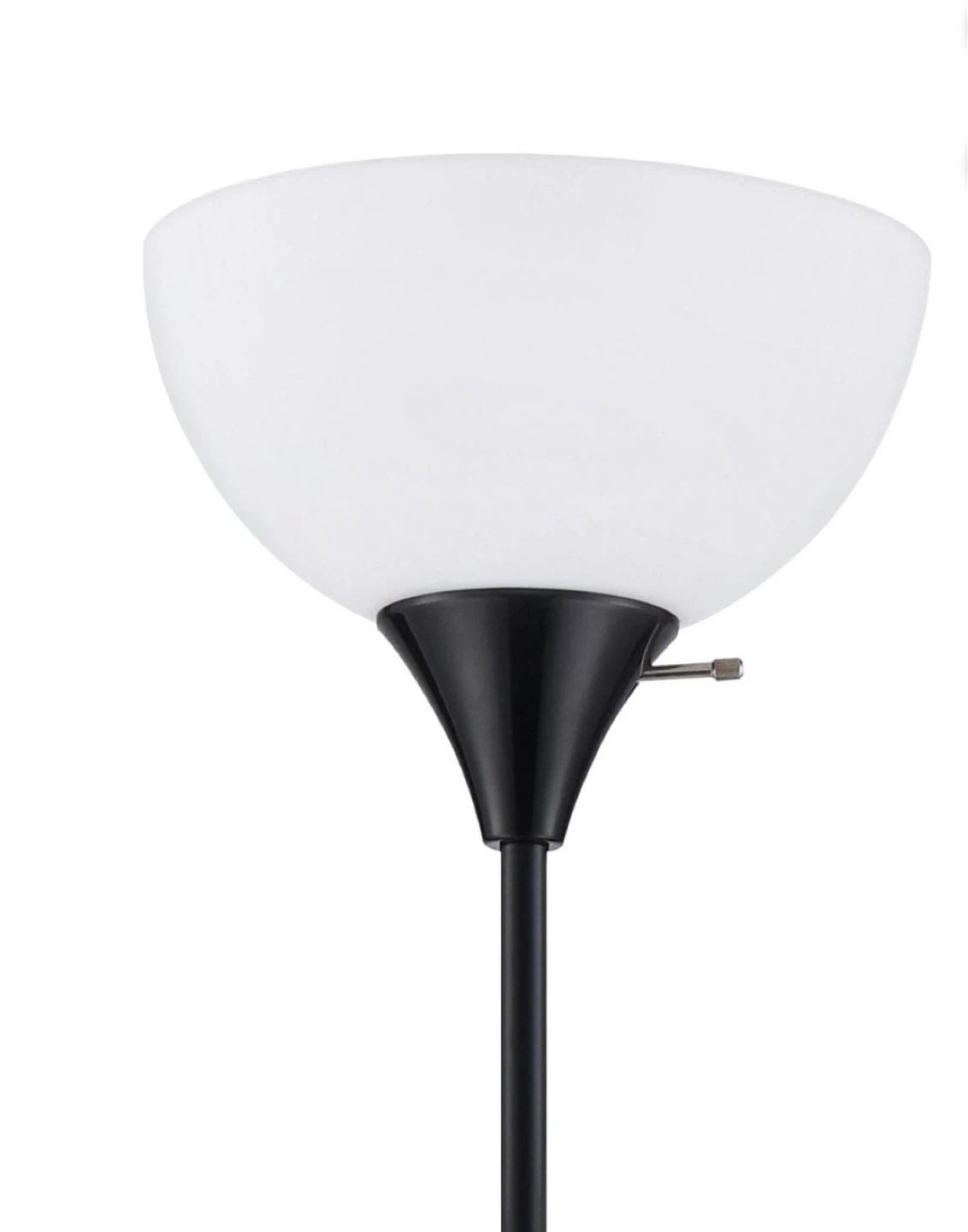Black Floor Lamp with Frosted Glass Shade