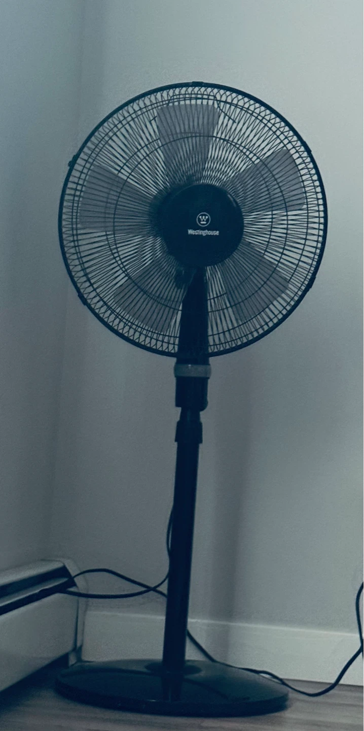 Westinghouse Pedestal Fan
