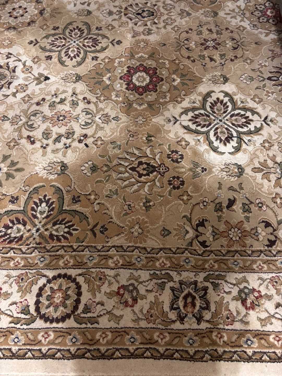 Multy Home Prelude Ivory Area Rug 7'10"X9'10"