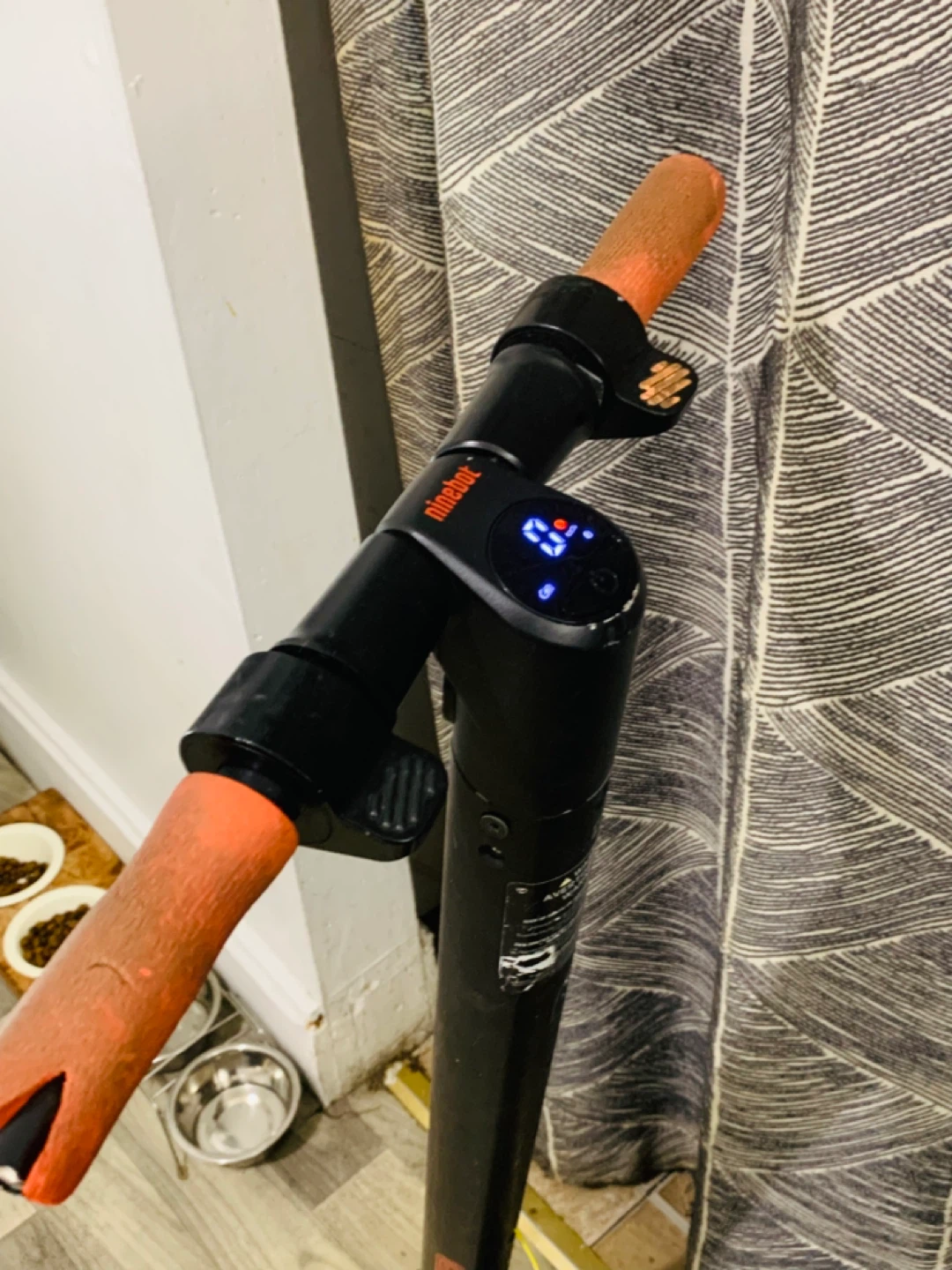 Ninebot Electric Scooter
