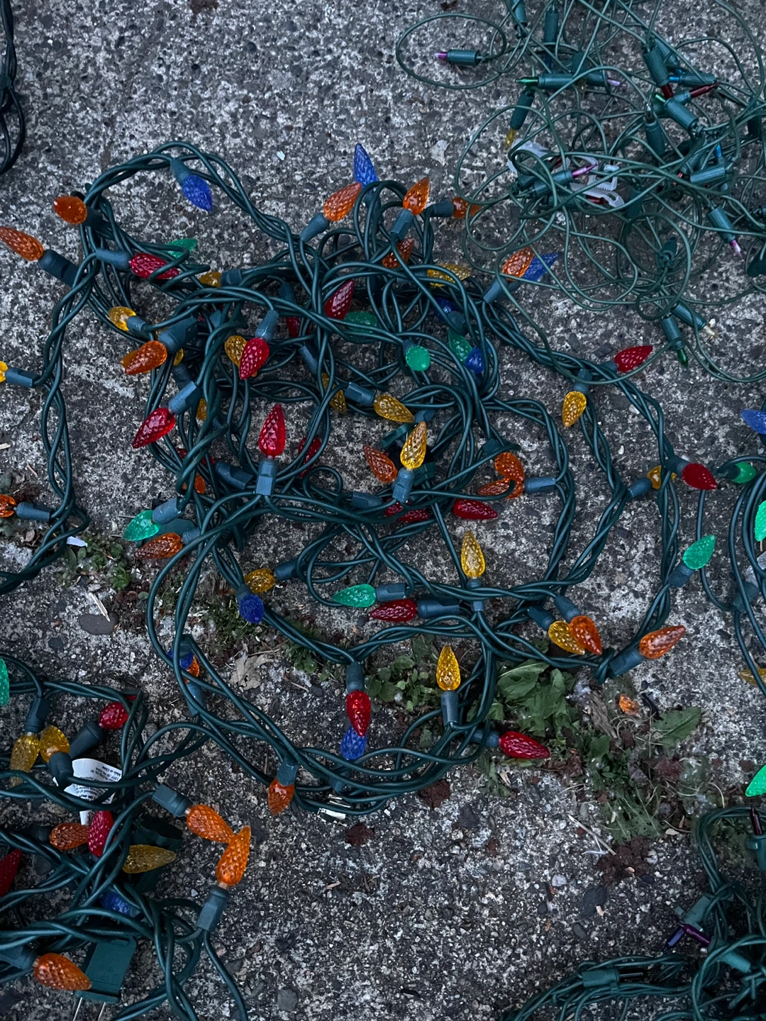 String of Christmas Lights - photo 5
