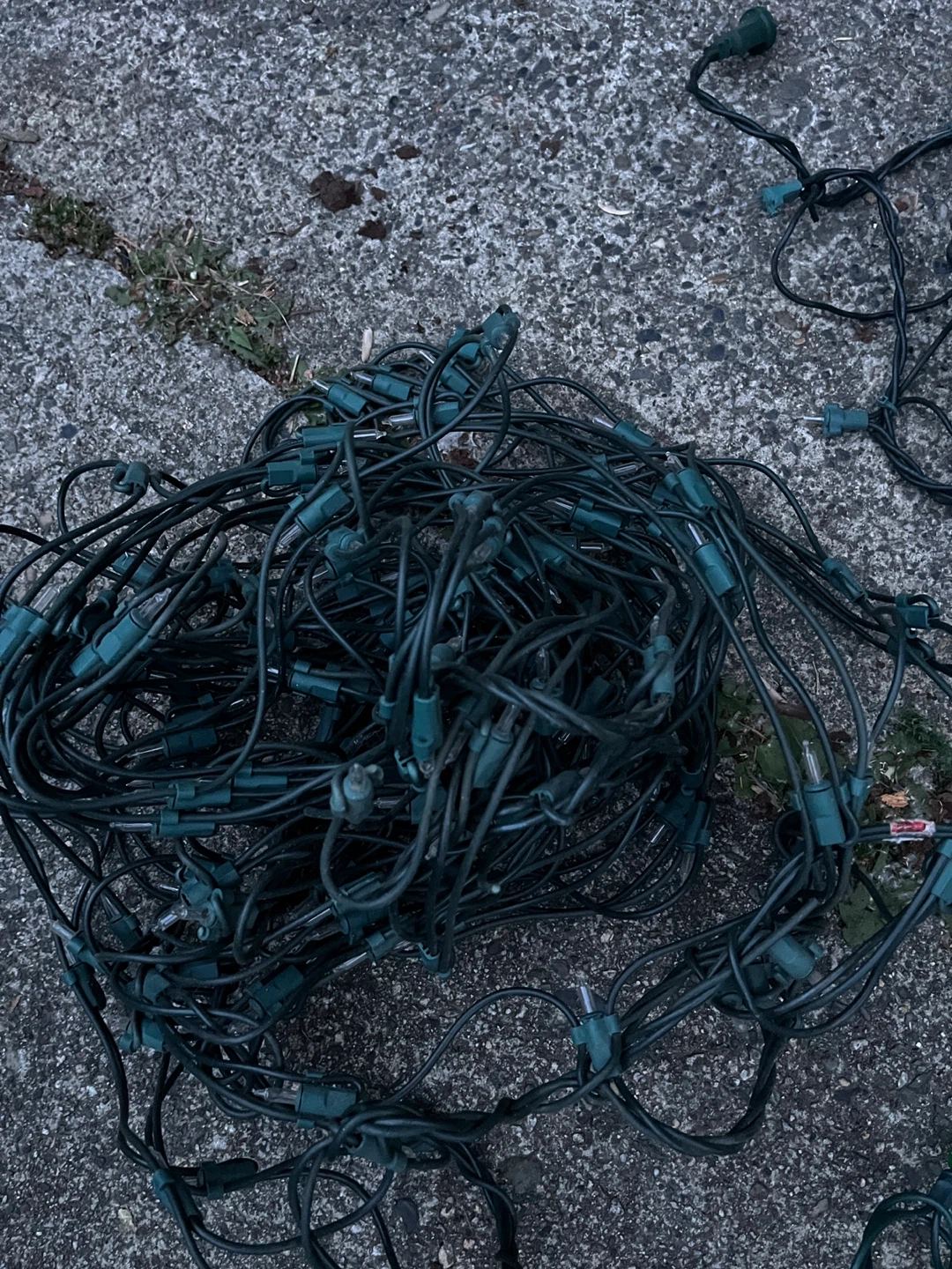 String of Christmas Lights - photo 3
