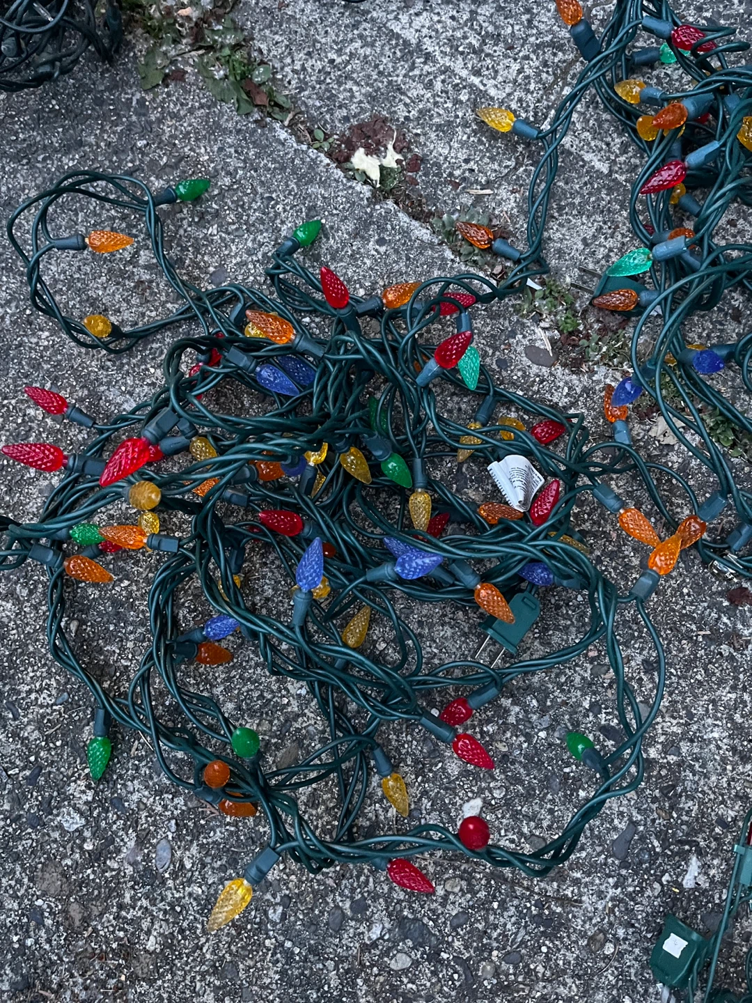 String of Christmas Lights - photo 4