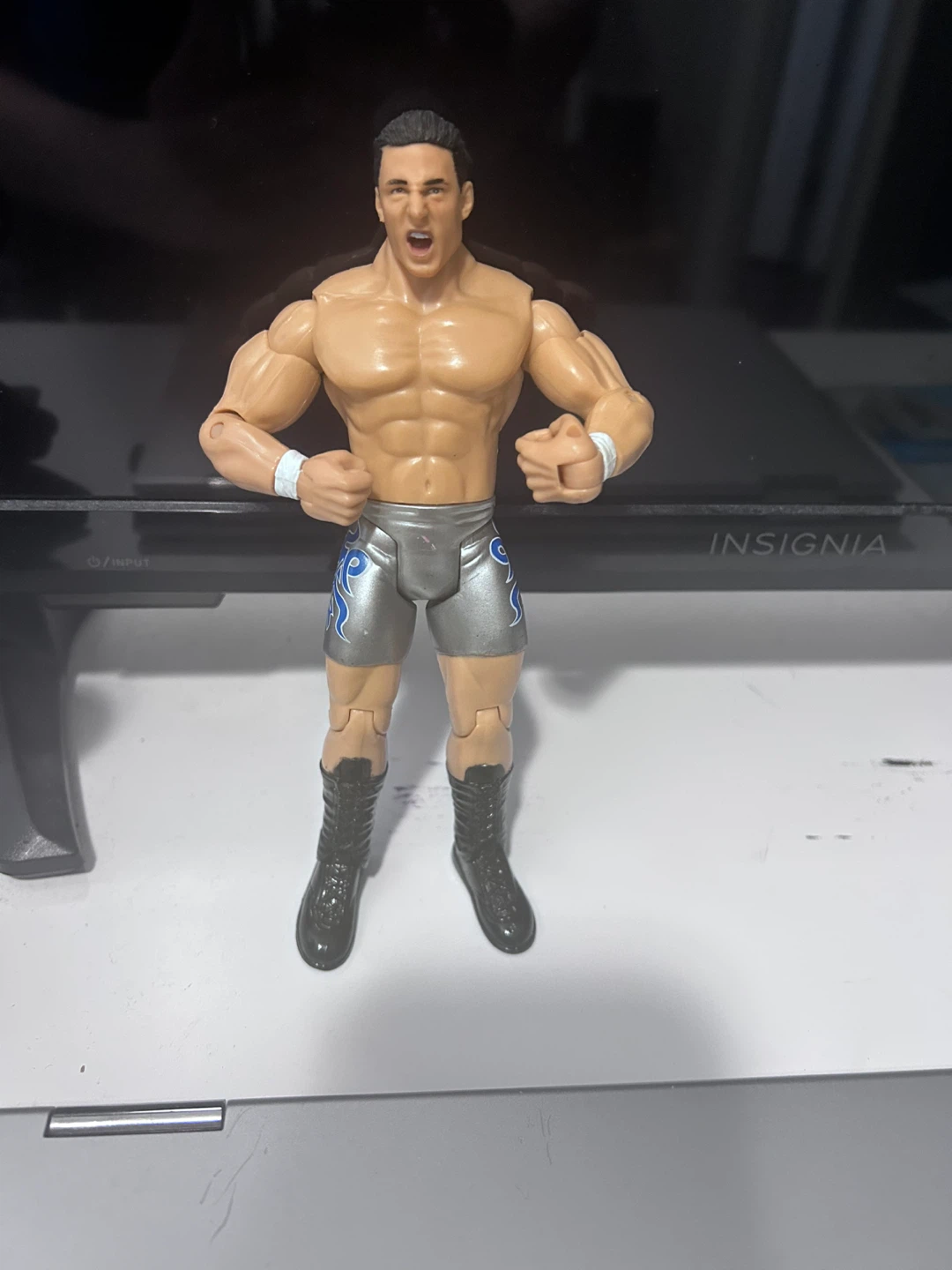 WWE Wrestling Action Figure