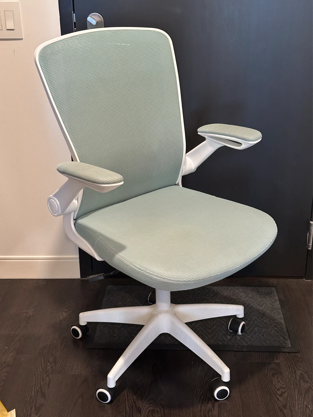 Ergonomic Office Chair - Mint Green Mesh