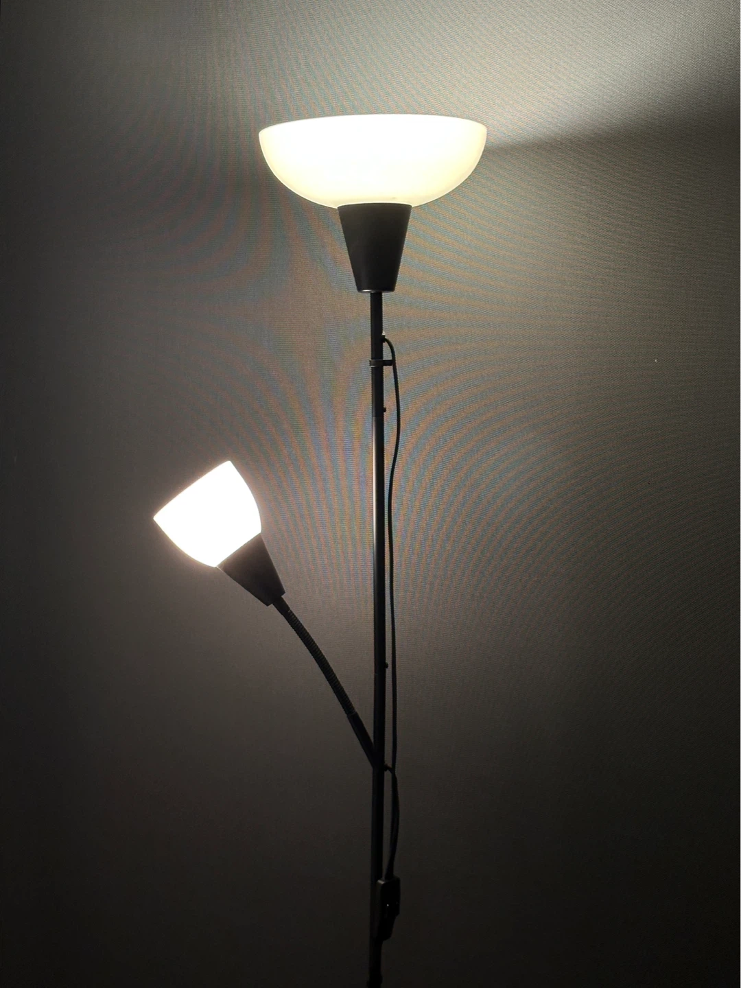 Adjustable Floor Lamp with Two Lights - photo 2
