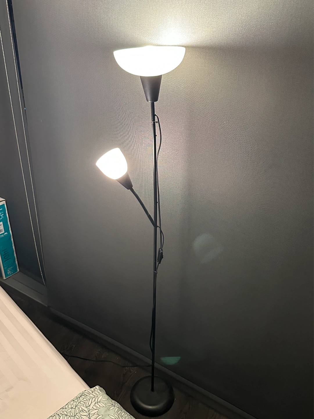 Adjustable Floor Lamp with Two Lights