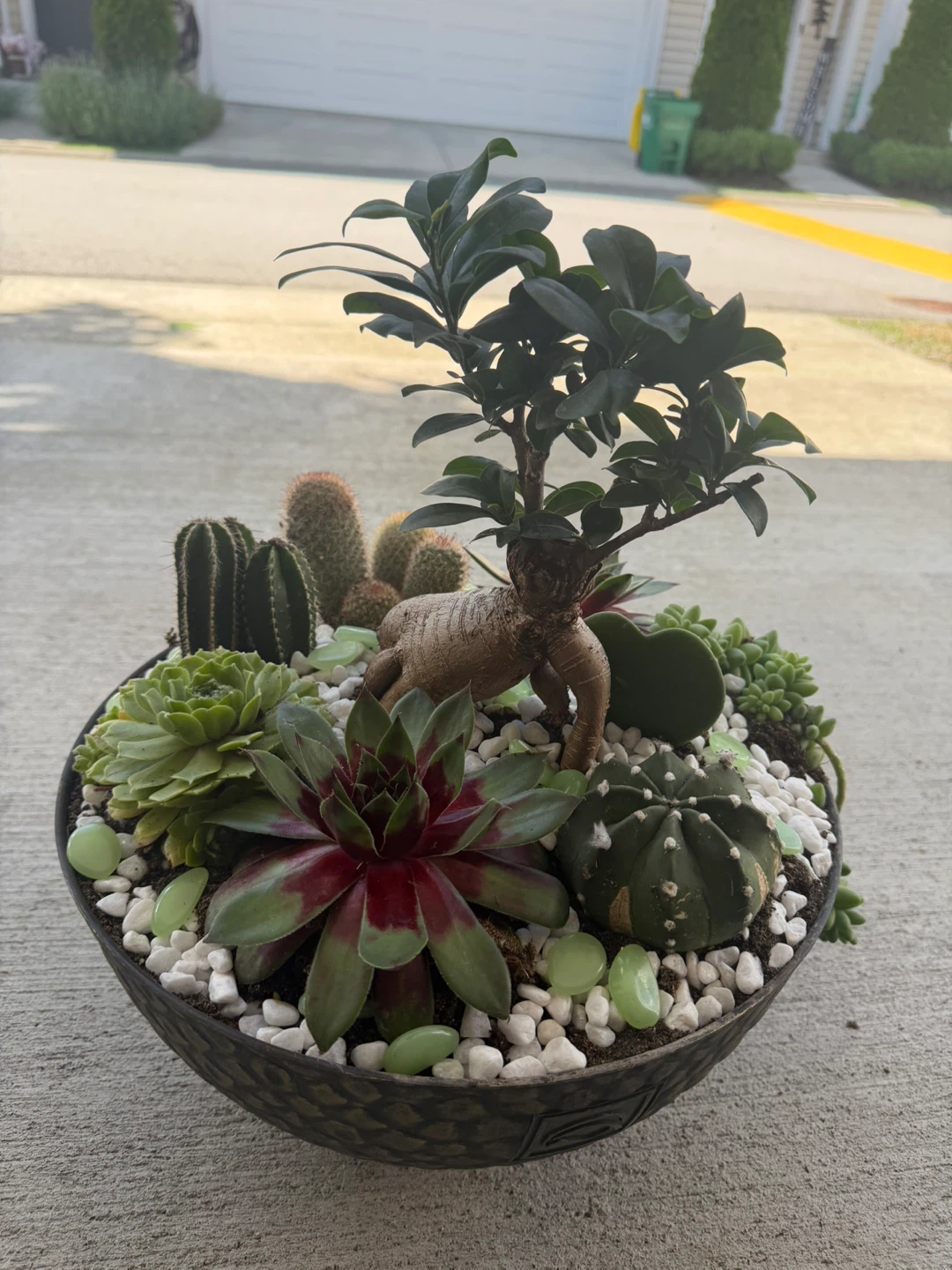 Mixed Succulent and Cactus Arrangement - photo 2