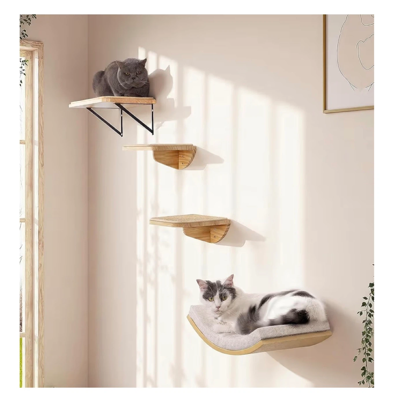 Wall Mounted Cat Shelves
