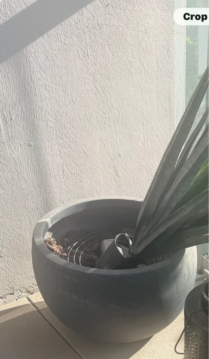 Large Charcoal Black  Plant Pot