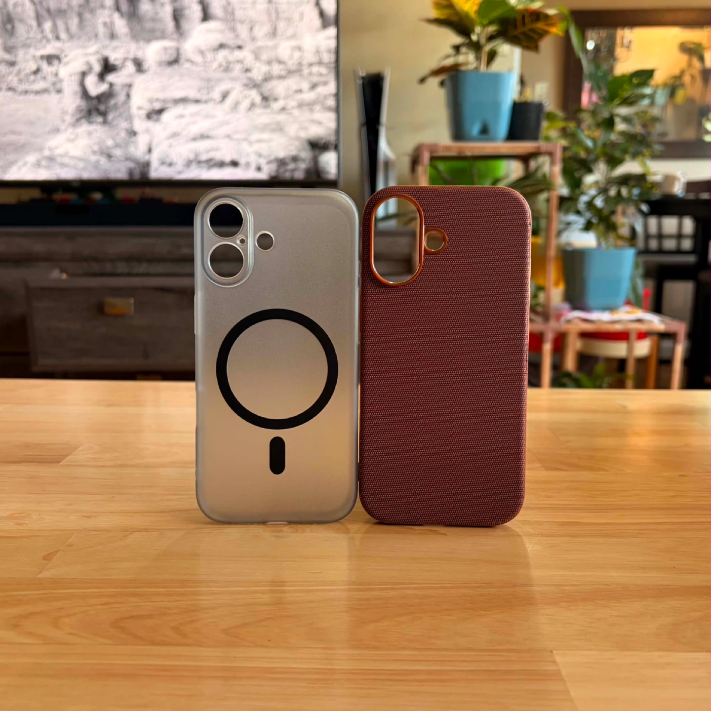 iPhone 17 Cases