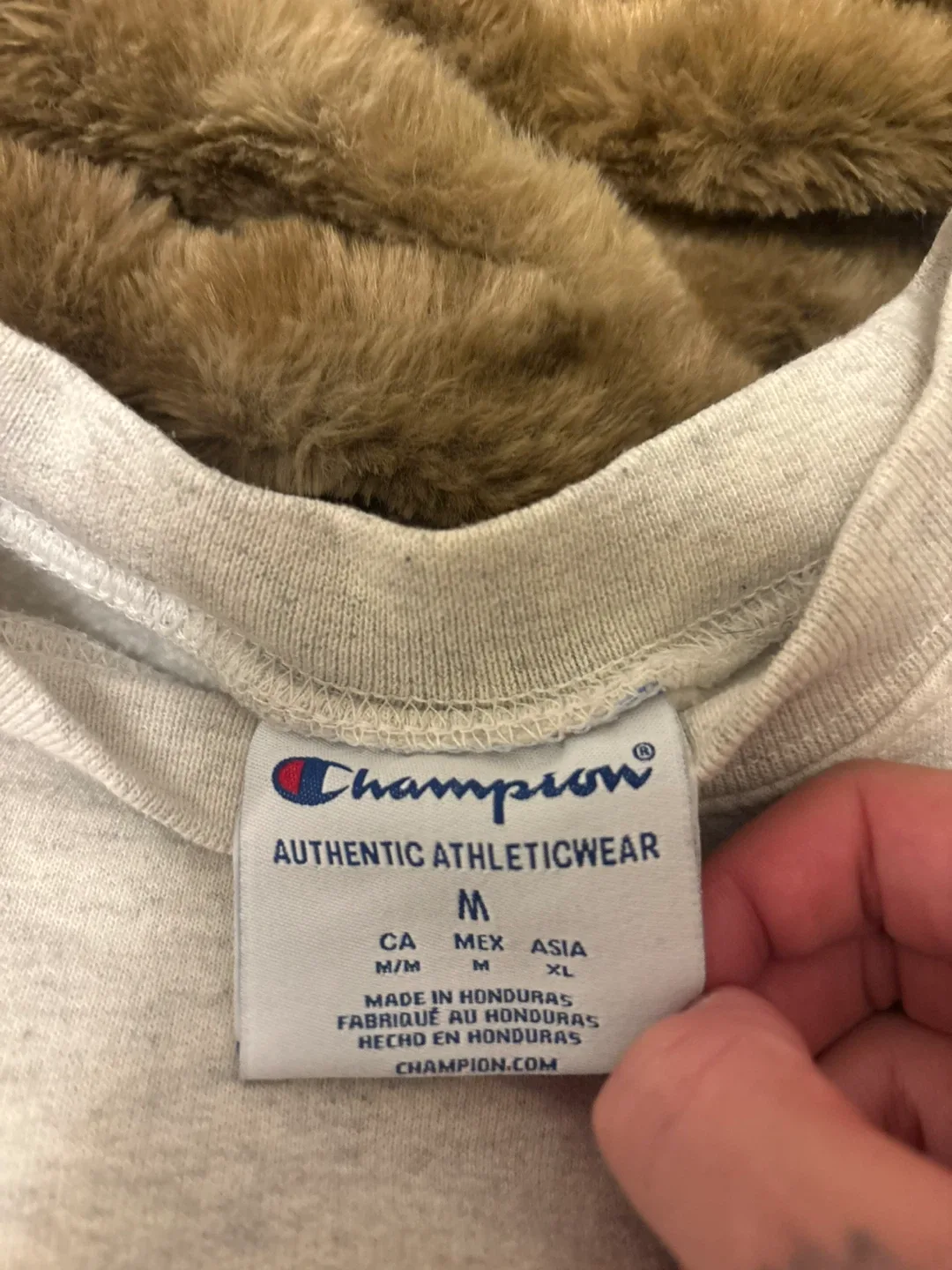 Champion Brown University Crewneck Sweatshirt - photo 2